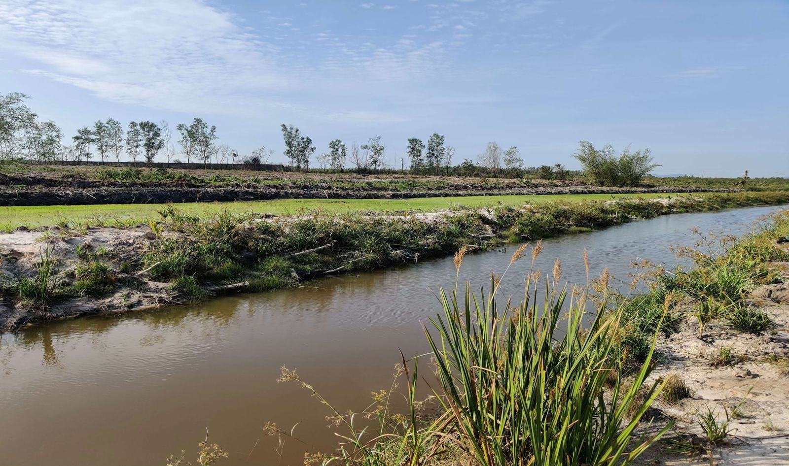 Irrigation canal and rice field on the Veal Rinh land bank, Sihanoukville Province, Cambodia
